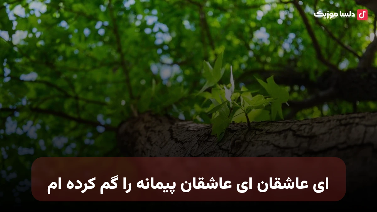 ای عاشقان ای عاشقان پیمانه را گم کرده ام هوش مصنوعی صدای زن نوا